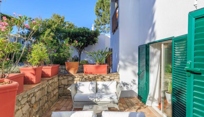 Casa Camellia