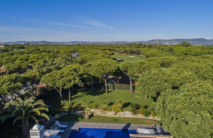 Follow SandyBlue on Instagram!