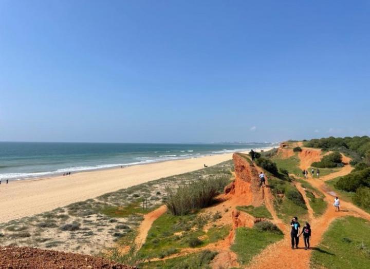 SandyBlue in the news: Our articles in Portuguese press!