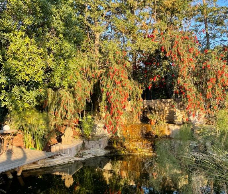 Portugal travel news: positive tourism developments this week!