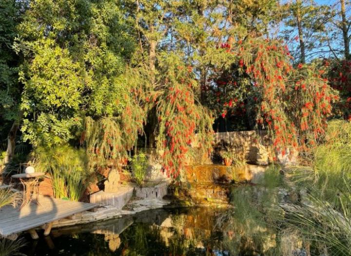 Portugal travel news: positive tourism developments this week!