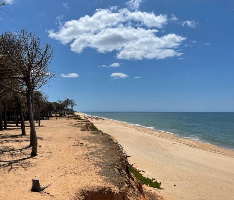 SandyBlue in the news – our 2021 Portugal Resident articles