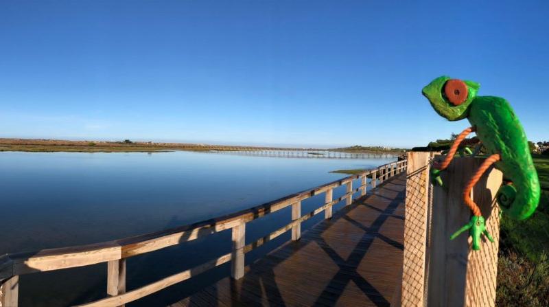 Exploring Quinta do Lago