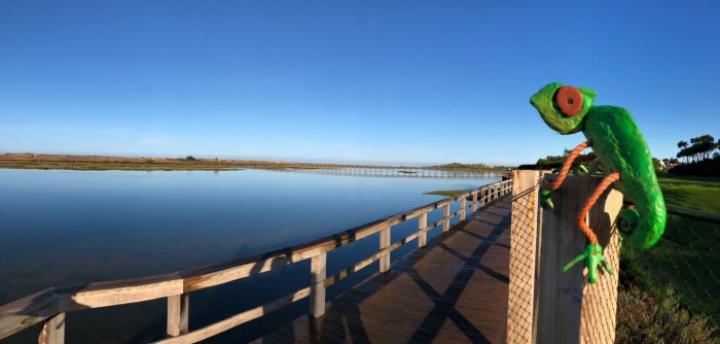 Exploring Quinta do Lago