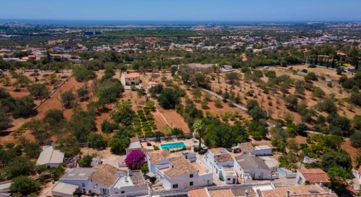 Exploring Boliqueime