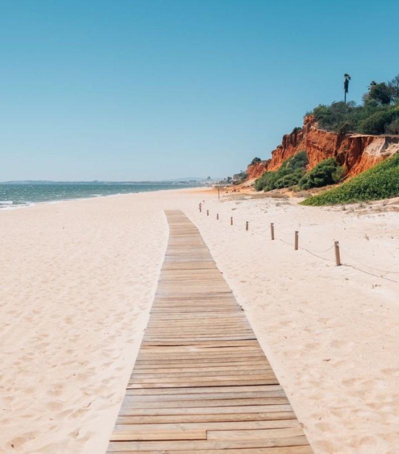 SandyBlue in the news – Our 2022 Autumn Articles