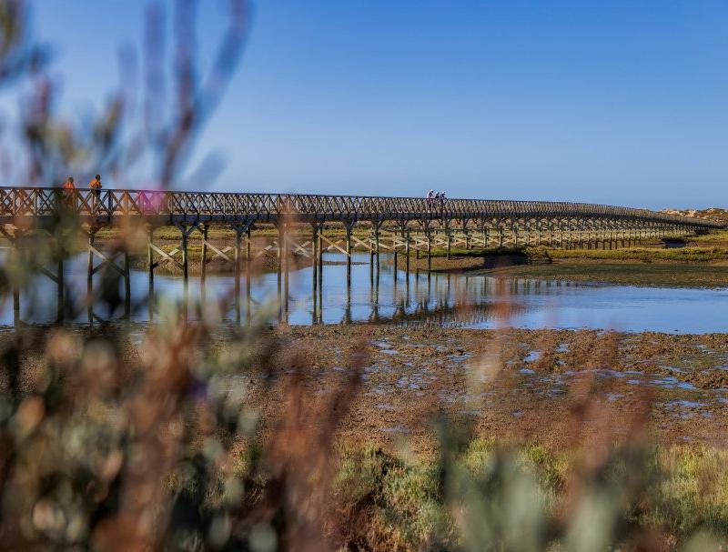 Exploring Quinta do Mar