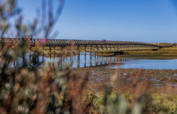 Exploring Quinta do Mar