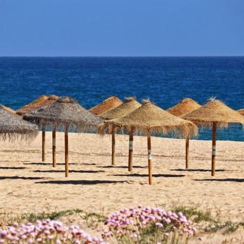 Algarve Villa Rental Success: Why the AL Licence is Your First Step