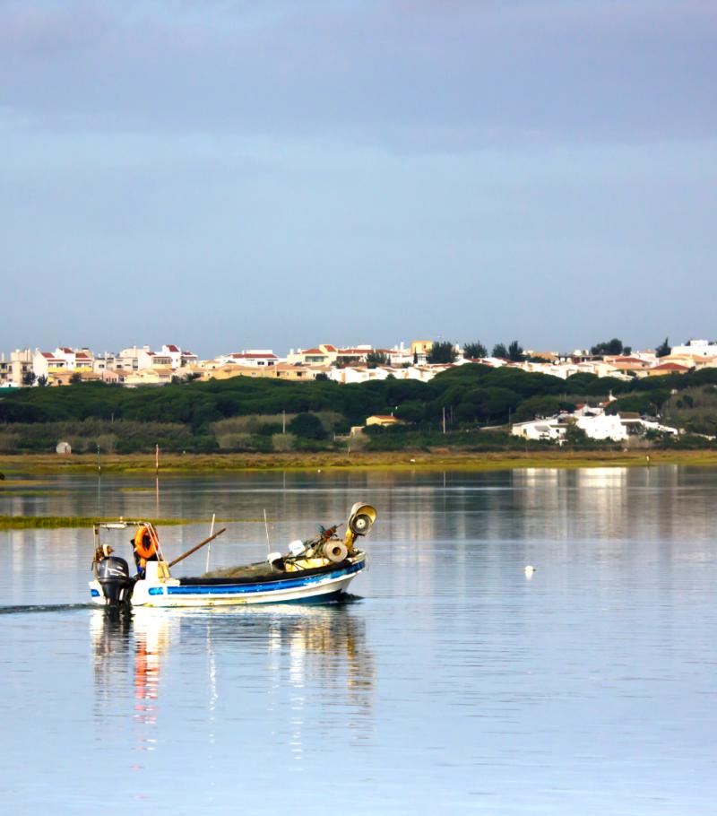 Ria Formosa Natural Park: The Wild Side of the Golden Triangle