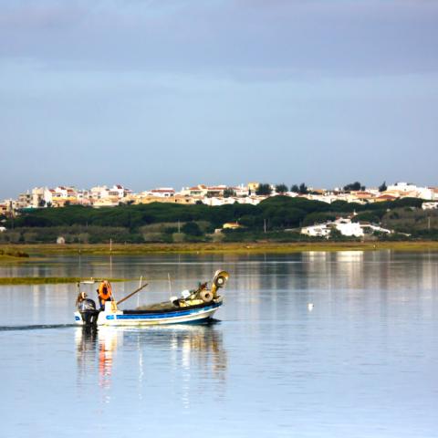 Ria Formosa Natural Park: The Wild Side of the Golden Triangle