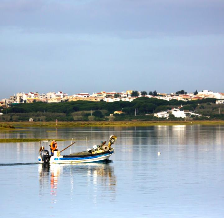 Ria Formosa Natural Park: The Wild Side of the Golden Triangle