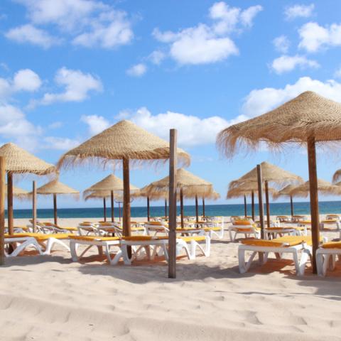 July in the Algarve: What Peak Season Actually Looks Like