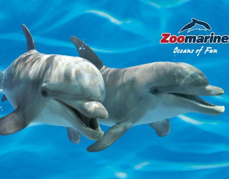 Top Family Days Out in Algarve