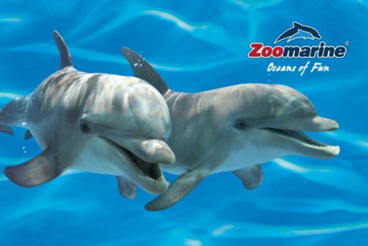 Top Family Days Out in Algarve