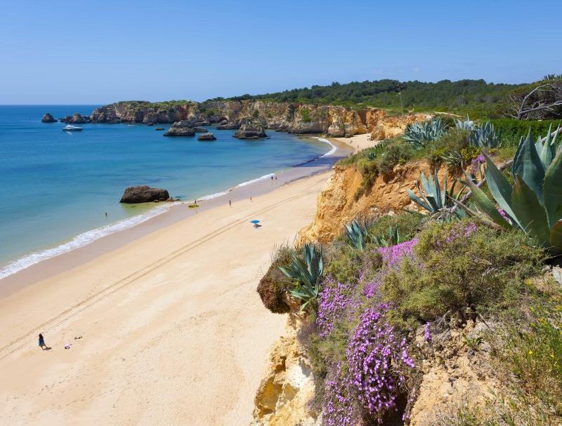 Spring in the Algarve: Why March to May might be the best time to visit