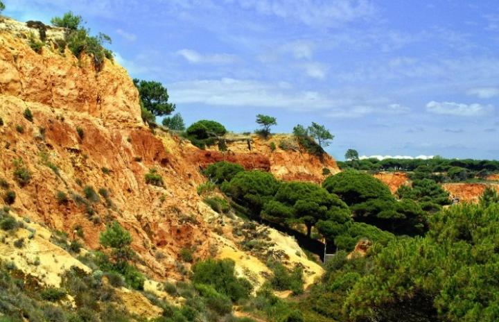 Holidays in the Algarve countryside 