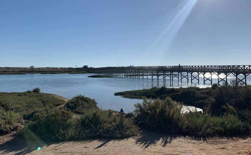 SandyBlue in the news – 2020 Algarve holiday trends!