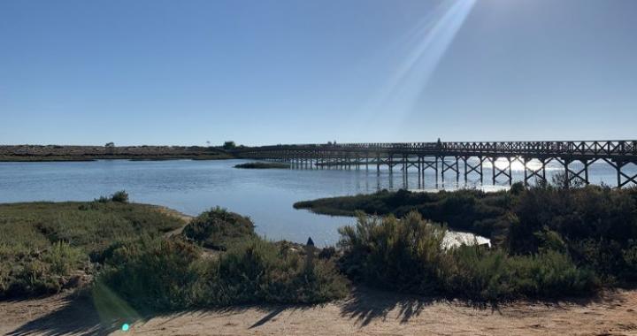 SandyBlue in the news – 2020 Algarve holiday trends!